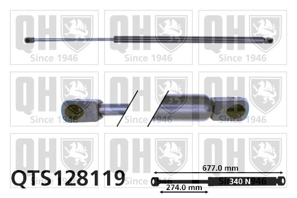 QUINTON HAZELL Gaasivedru, pagasi-/veoruum QTS128119